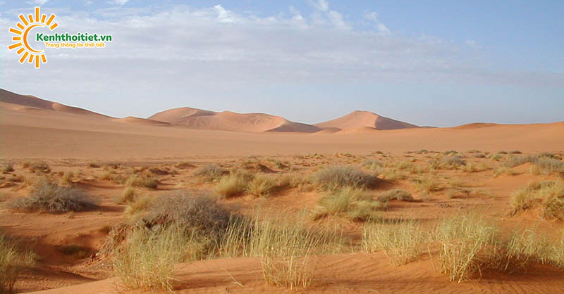 các hoang mạc trên thế giới thường xuất hiện ở hai bên chí tuyến
