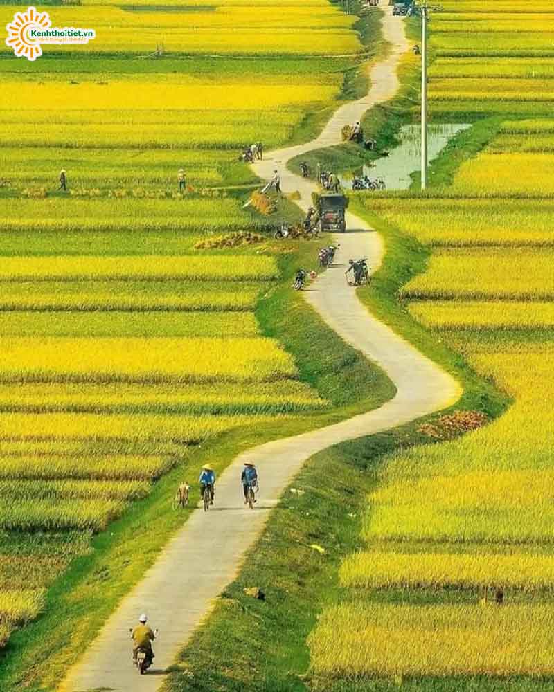 Những địa điểm tại Việt Nam có hình ảnh thiên nhiên xinh đẹp