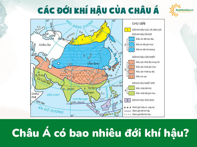 Châu Á có bao nhiêu đới khí hậu? Việt Nam nằm trong đới khí hậu nào?