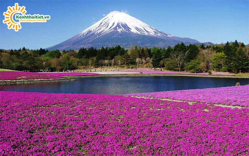 Núi Phú Sĩ quanh năm tuyết trắng đi vào bài thơ của biết bao nghệ sĩ