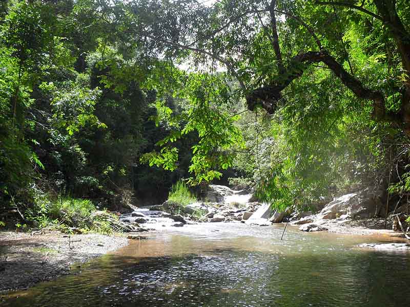 Phong cảnh thiên nhiên suối rừng trong thung lũng huyện Đăk Glei