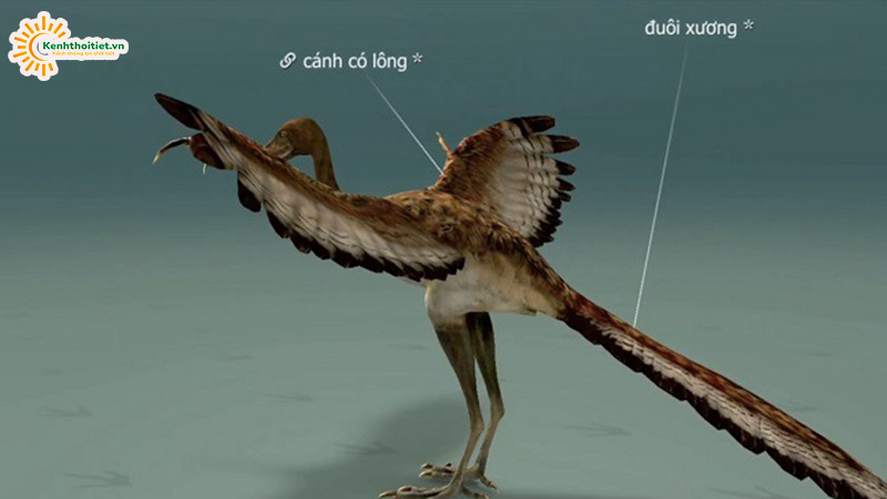 Mô hình chim thủy tổ